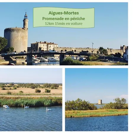 Parking Prive Clim Au Point Zero - Rossiconciergerie - Linge Inclus Διαμέρισμα *